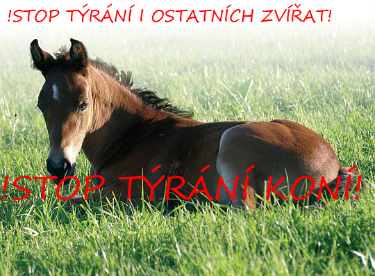7cb2d06414_80716167_o2