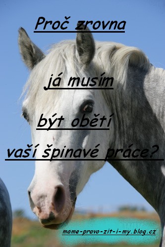 1f986c89ae_56615106_o2