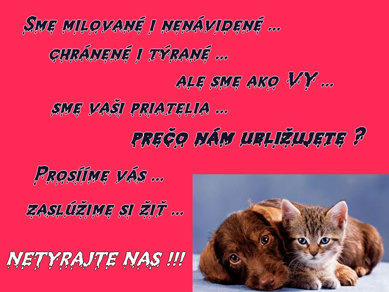 stop_tyraniu___