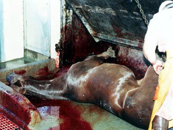 mf_373982886_b6727b13ec263f9db26c9b60f6377c9c